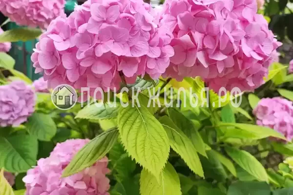 Частный сектор, пр-кт. Владислава Ардзинба, д.134 Частный сектор, пр-кт. Владислава Ардзинба, д.134