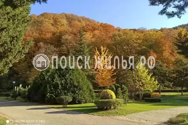 Апартаменты «Агой» Апартаменты «Агой»