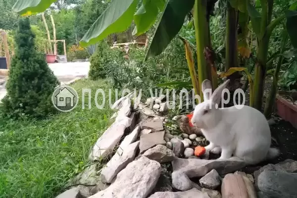 Дом под ключ «Каньон Псахо» Дом под ключ «Каньон Псахо»