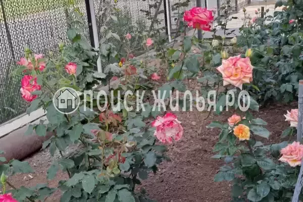 Частный сектор «Домик на Суворовском» Частный сектор «Домик на Суворовском»