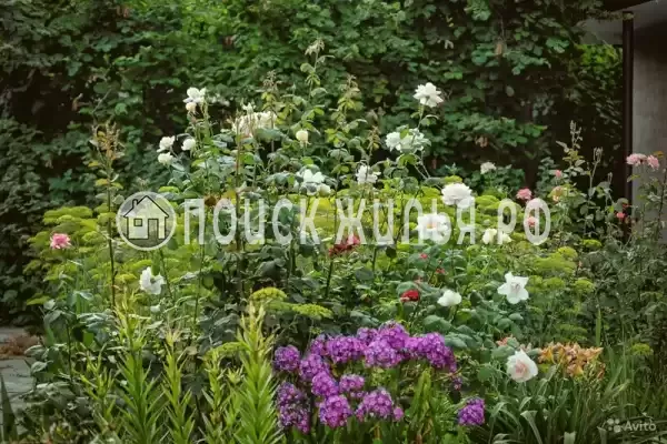 Дом под ключ «В Персиковом саду» Дом под ключ «В Персиковом саду»