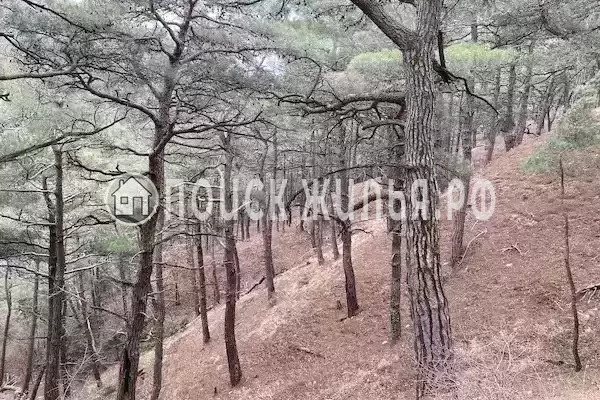 Дом под ключ «Коттедж Лесной» Дом под ключ «Коттедж Лесной»