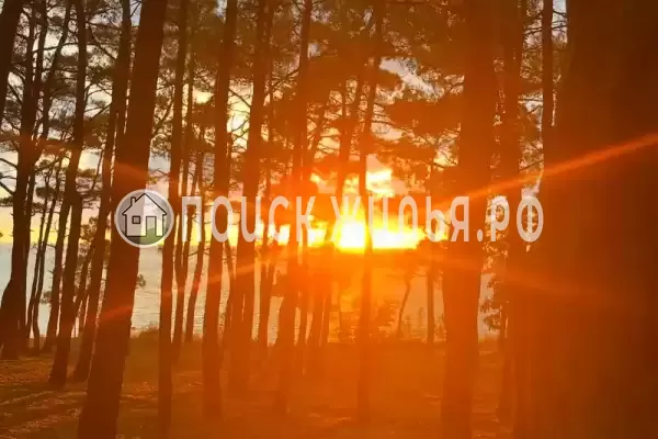 Дом под ключ «Место под соснами»