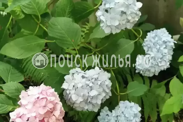 Частный сектор «У Ольги»