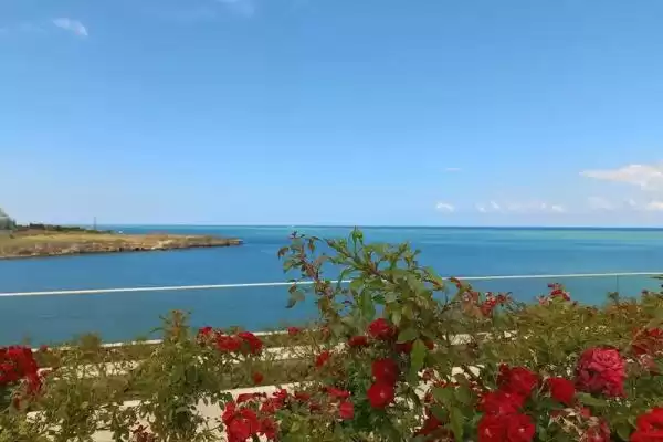 Дом под ключ «Домик у моря» Дом под ключ «Домик у моря»