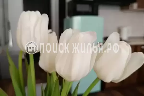 Частный сектор «Тропикал» Частный сектор «Тропикал»