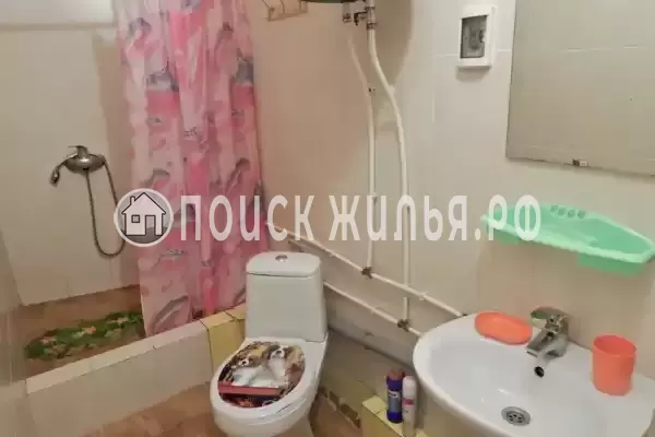 «Лаванда» «Лаванда»