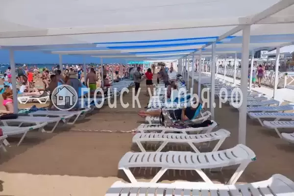 «На толстого 31» «На толстого 31»