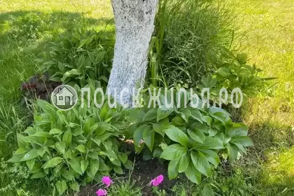 Частный сектор «Дача у моря с выходом на дикий пляж»