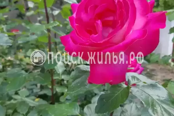 Дом под ключ, пер. Боенский, д.4