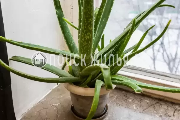 Хостел «Хостел №1» Хостел «Хостел №1»