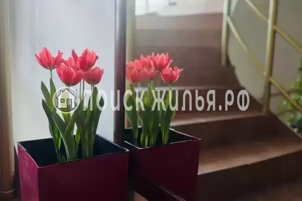 «Усадьба Еловое»