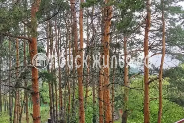 «Усадьба Еловое»