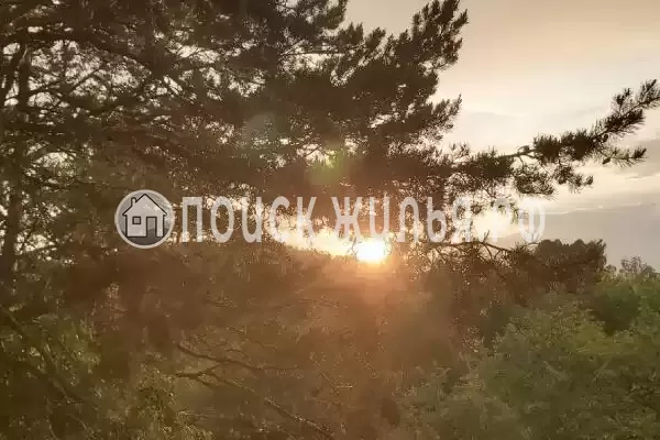 «Усадьба Еловое»