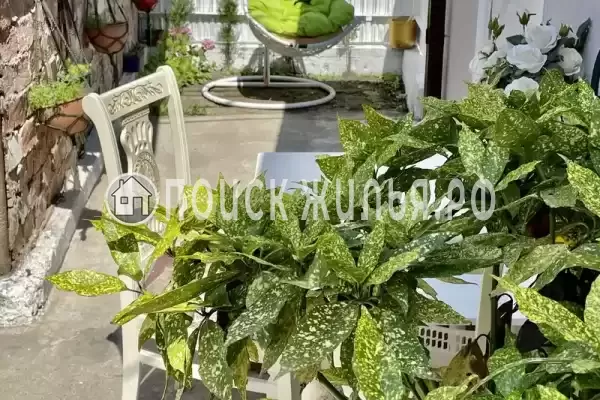 Дом под ключ «Sofi house» Дом под ключ «Sofi house»