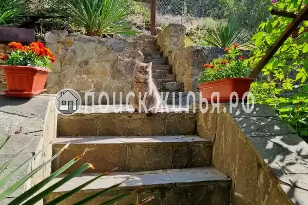 «Шаляпин Хаус» «Шаляпин Хаус»