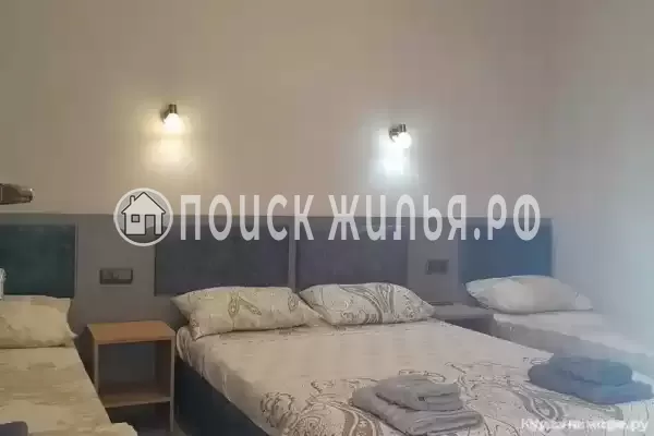 «Олива» «Олива»