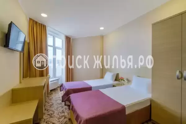 «Династия» «Династия»