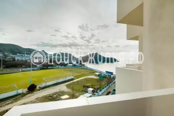 «Династия» «Династия»