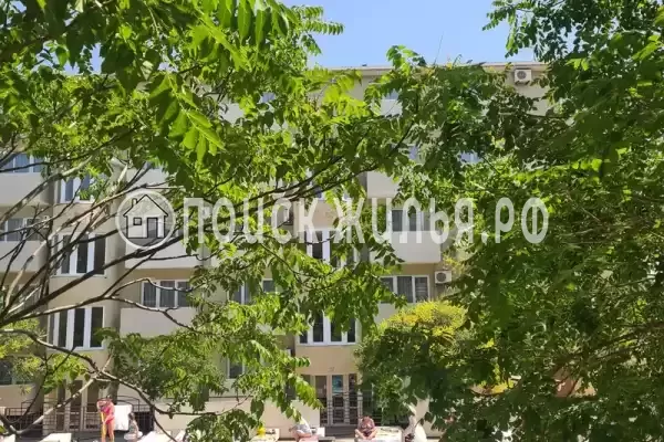 «На Пионерском»