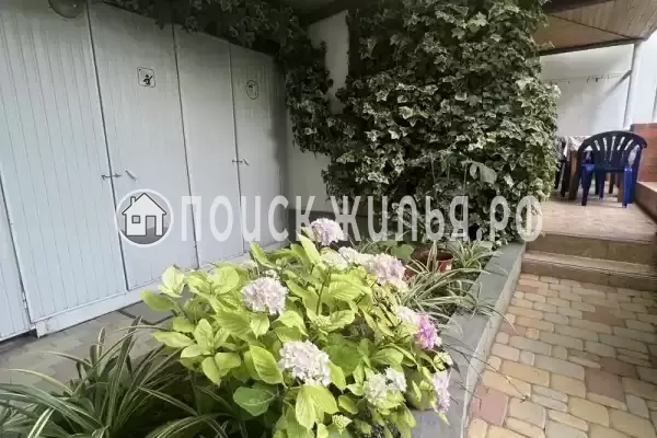 «На Вильямса»