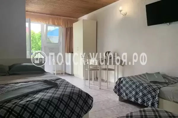 «Гармония» «Гармония»