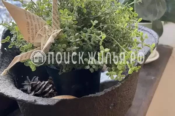 Отель «Дом с Л.Н. Толстым» Отель «Дом с Л.Н. Толстым»