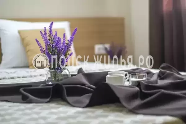 «Усадьба Власовых»