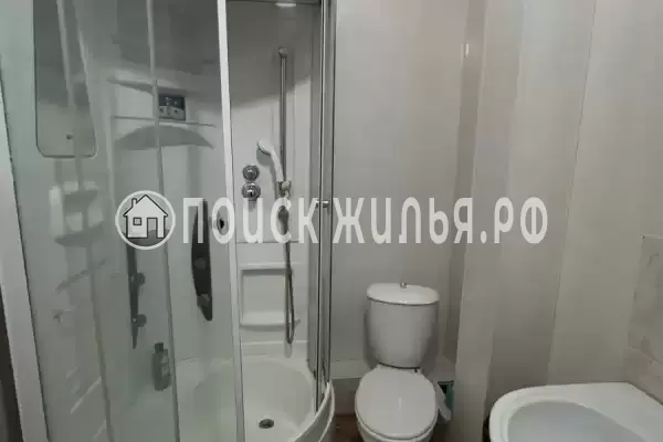 «Улей» «Улей»