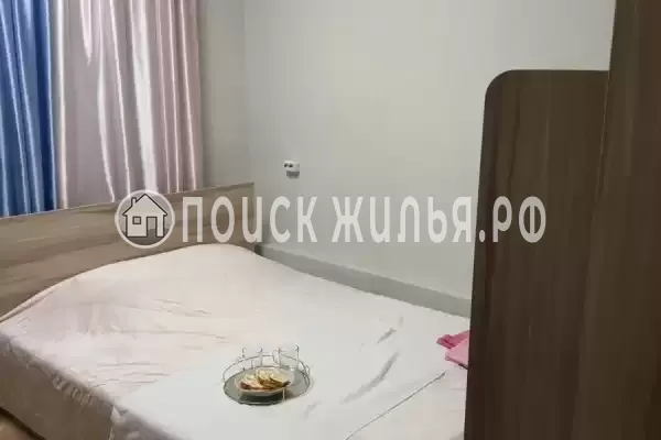 «Улей» «Улей»