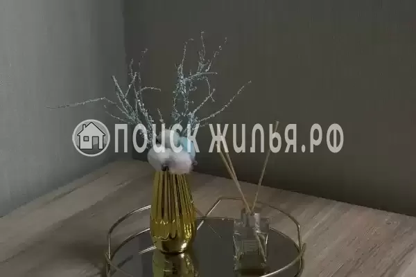 «Улей» «Улей»