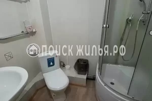 «Улей» «Улей»