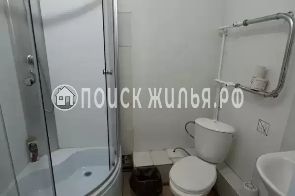 «Улей» «Улей»