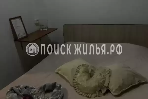 «Улей» «Улей»