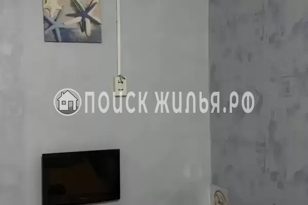 «Улей» «Улей»