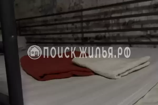 «Улей» «Улей»