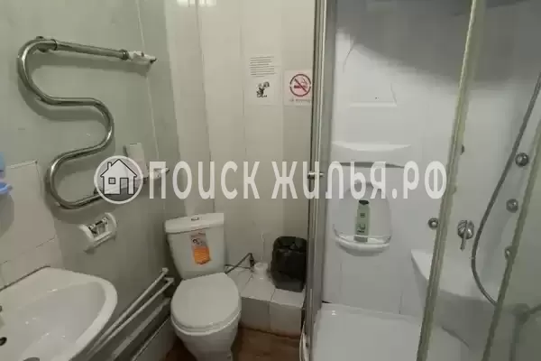 «Улей» «Улей»