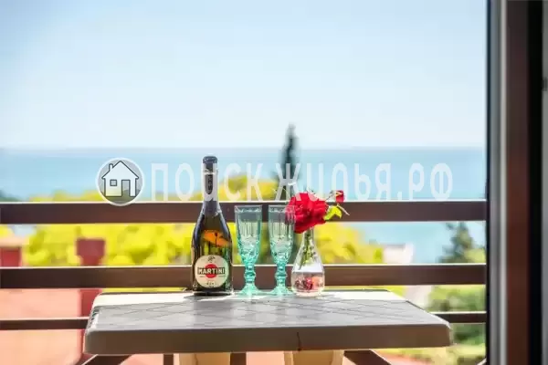 «Green Club» «Green Club»