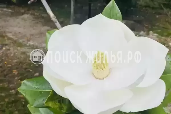 Частный сектор «Дом У Анджелы» Частный сектор «Дом У Анджелы»