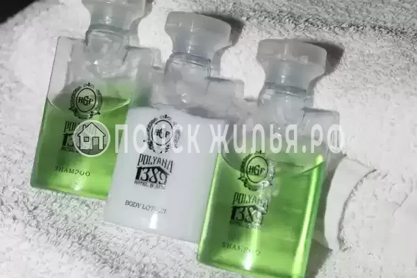 Гостевой дом «Sandro Palace» Гостевой дом «Sandro Palace»