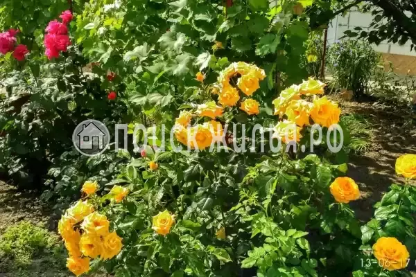 Частный сектор, Калинина, д.237 Частный сектор, Калинина, д.237