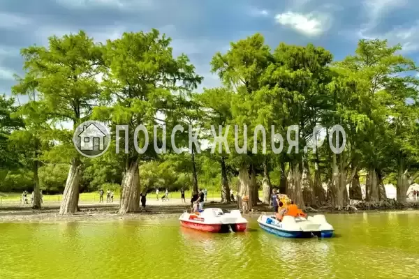 Квартира «2-комнатная в курортном поселке» Квартира «2-комнатная в курортном поселке»