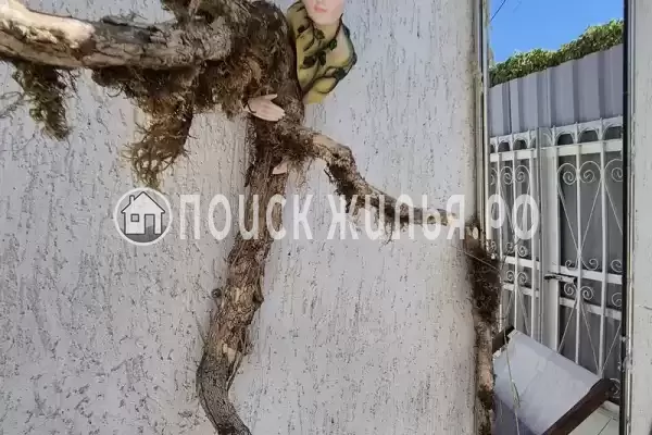 Дом под ключ «С бассейном» Дом под ключ «С бассейном»