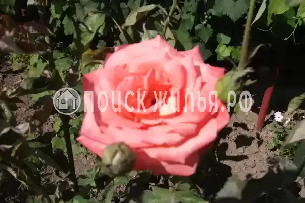 Частный сектор, Калинина, д.237 Частный сектор, Калинина, д.237