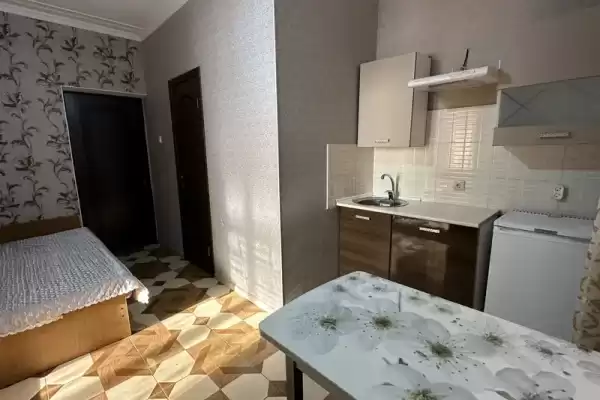 Отель «Алгор» Отель «Алгор»