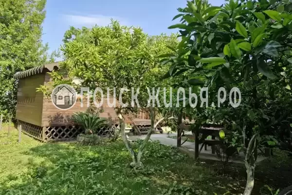 Гостевой дом «Камелия»
