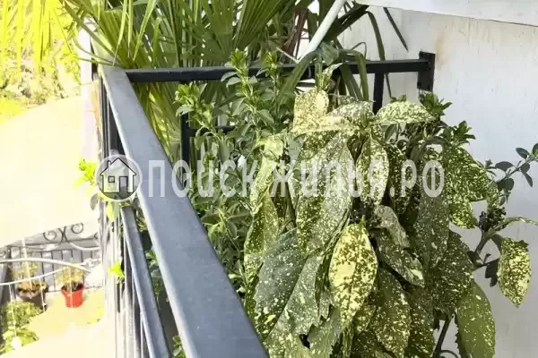 Отель «Сухум авеню» Отель «Сухум авеню»