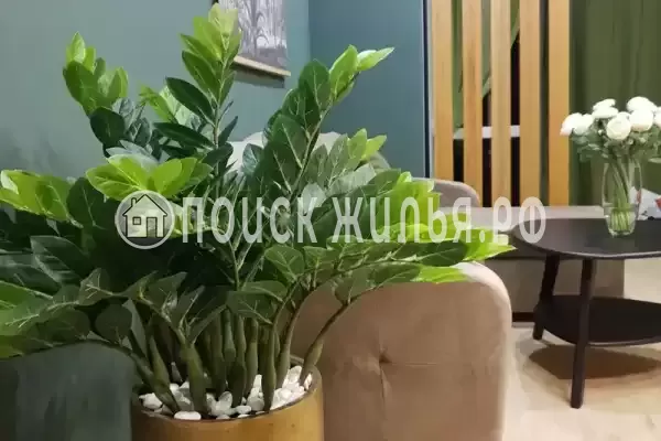 Частный сектор «Таунхаус в Головинке» Частный сектор «Таунхаус в Головинке»