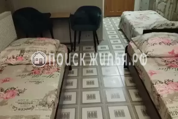 «Южный сад» «Южный сад»