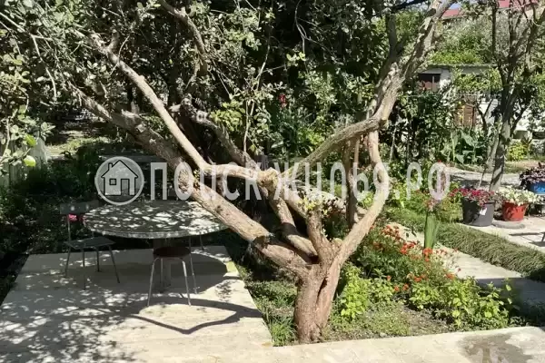 Гостевой дом «У Арама» Гостевой дом «У Арама»